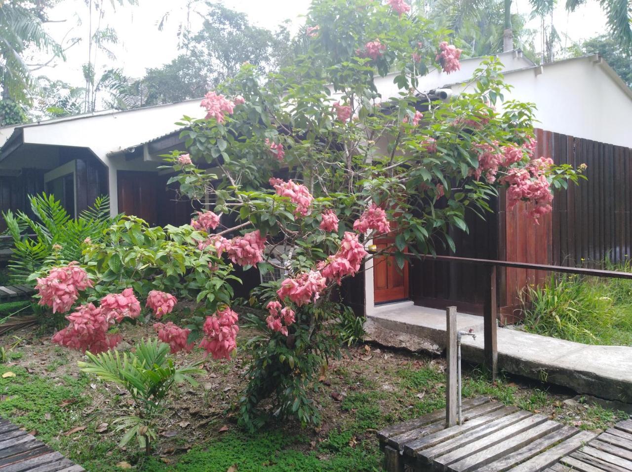 Ceiba Tops Santa Teresa  Eksteriør billede