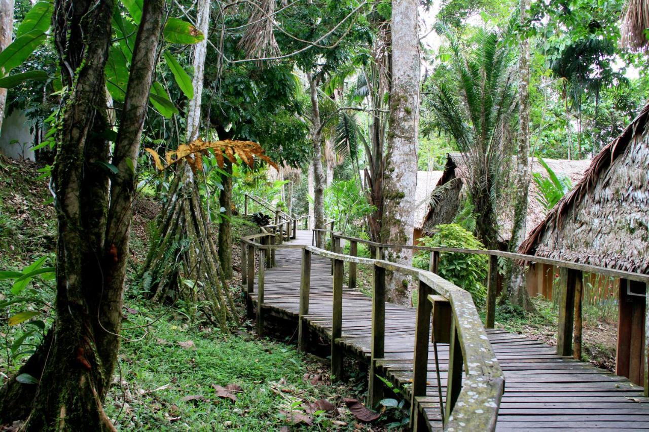 Ceiba Tops Santa Teresa  Eksteriør billede
